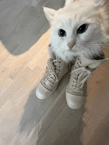Cat Cat In Boots GIF