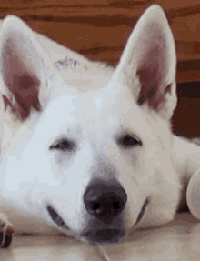 Smile Exhausted GIF - Smile Exhausted Winter GIFs