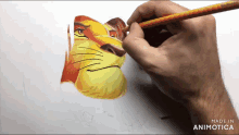 a person is drawing a lion with a pencil and the words made in animatica are visible in the corner