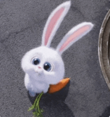 a white rabbit is holding a carrot in its mouth and looking at the camera .