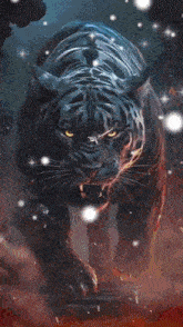 a painting of a tiger behind a broken glass with the word kathi written above it