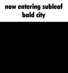 Now Entering Subleaf Bald City Subleaf GIF - Now Entering Subleaf Bald City Subleaf Subleaf Sweep GIFs