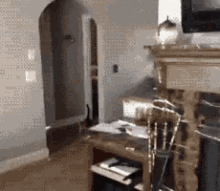 Getting Creepy With Your Pets GIF - Cats Dogs Funny GIFs