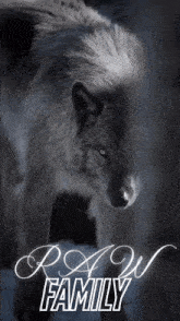 a black and white photo of a wolf with the words raw family written below it