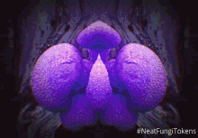 a purple flower with the words neatfungitokens written below it