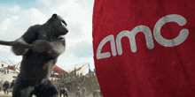 Amc Kingdom GIF - Amc Kingdom Planet Of The Apes GIFs