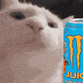 a close up of a can of monster energy drink