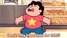 Steven Universe Laws Against GIF