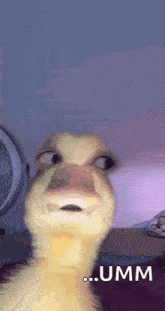 Qua Duck GIF - Qua Duck Snapchat GIFs