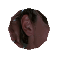 a pixelated image of a person 's ear and head