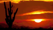 Love You GIF - Love You Sunset GIFs