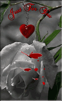 Just For You Rose GIF - Just For You Rose Flower GIFs