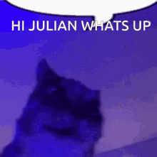 Hijulian Hello GIF - Hijulian Julian Hello GIFs