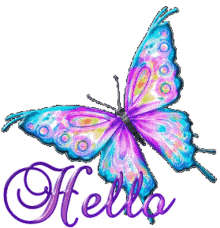 hello butterfly hi greetings sparkle