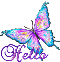 Hello Butterfly Sticker - Hello Butterfly Hi Stickers
