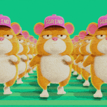 a bunch of hamsters wearing pink hats that say $ grind