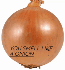 You Be Smellin Like Onions GIF - You Be Smellin Like Onions GIFs