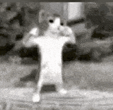 a black and white photo of a person standing on their hind legs with their arms outstretched .