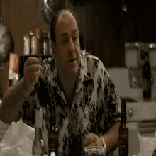 a man in a hawaiian shirt is sitting at a table