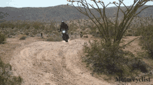 Off Road Motorcyclist GIF - Off Road Motorcyclist Rough Terrain GIFs