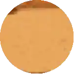a close up of a brown circle with a white background .