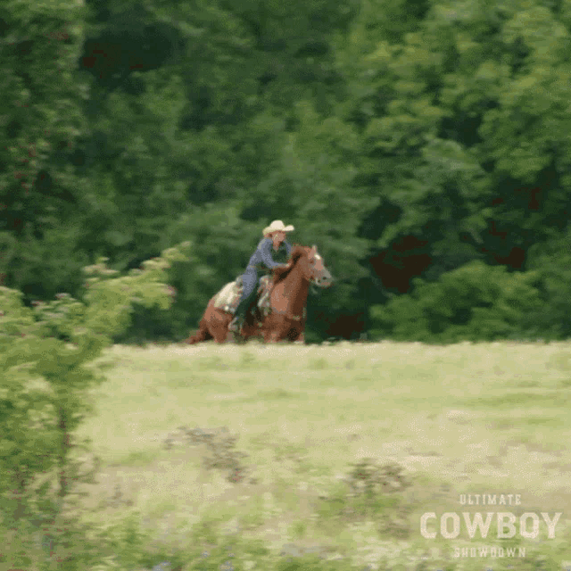 Animacije i Gif - Page 45 Riding-horse-katey-jo-gordon