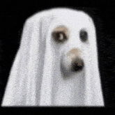Dog Ghost Transition GIF - Dog Ghost Transition GIFs