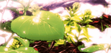 Green Aesthetic Anime Aesthetic GIF - Green Aesthetic Anime Aesthetic Leaf GIFs