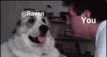 Raven Kik GIF - Raven Kik Aqt GIFs