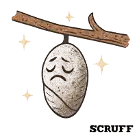 a drawing of a rainbow colored butterfly with the name scruff below it