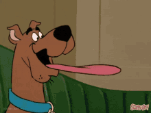 Scooby Doo Eat GIF - Scooby Doo Eat Hungry GIFs