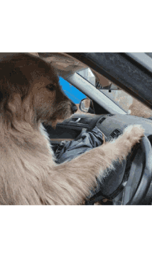 Kratu Driving GIF - Kratu Driving Drive Safe GIFs