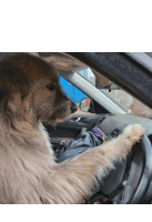 Kratu Driving Sticker - Kratu Driving Drive Safe Stickers