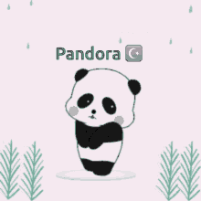 Pandora Sorry GIF