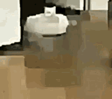 Roomba Cat Sd GIF - Roomba Cat Sd GIFs