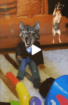 a cat with a surprised face is playing with a toy