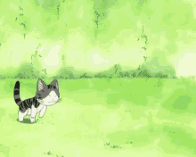 Chis Sweet Home Chi GIF - Chis Sweet Home Chi Cat GIFs
