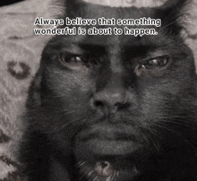 a black cat with the words always believe that something wonderful is about to happen
