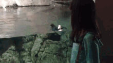 a woman looking at a penguin swimming in a tank