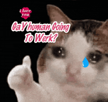 a cat with a tear in its eye is giving a thumbs up and saying gay human going to work