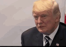 donald trump is wearing a suit and tie and a flag .