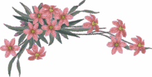 Flowers Design GIF - Flowers Design GIFs