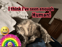 Funny Cat Funny Cat Memes GIF