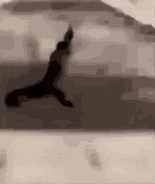 Monkey Running GIF