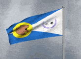 a blue white and yellow flag with a bear and two stars