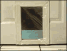 Cant Do It Cats GIF - Cant Do It Cats Pet Door GIFs
