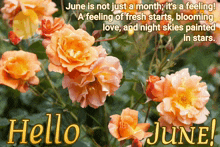 Hello June GIF - Hello June GIFs