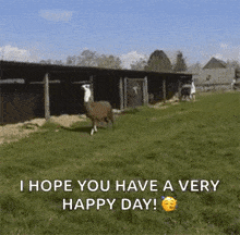 Happy Llamas GIF - Happy Llamas GIFs