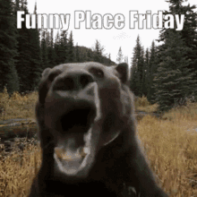 Funny Place Funny Place Friday GIF - Funny Place Funny Place Friday Rykilm GIFs