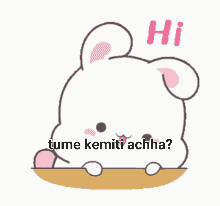 a cartoon rabbit with the words hi tune kemiti achha written on it